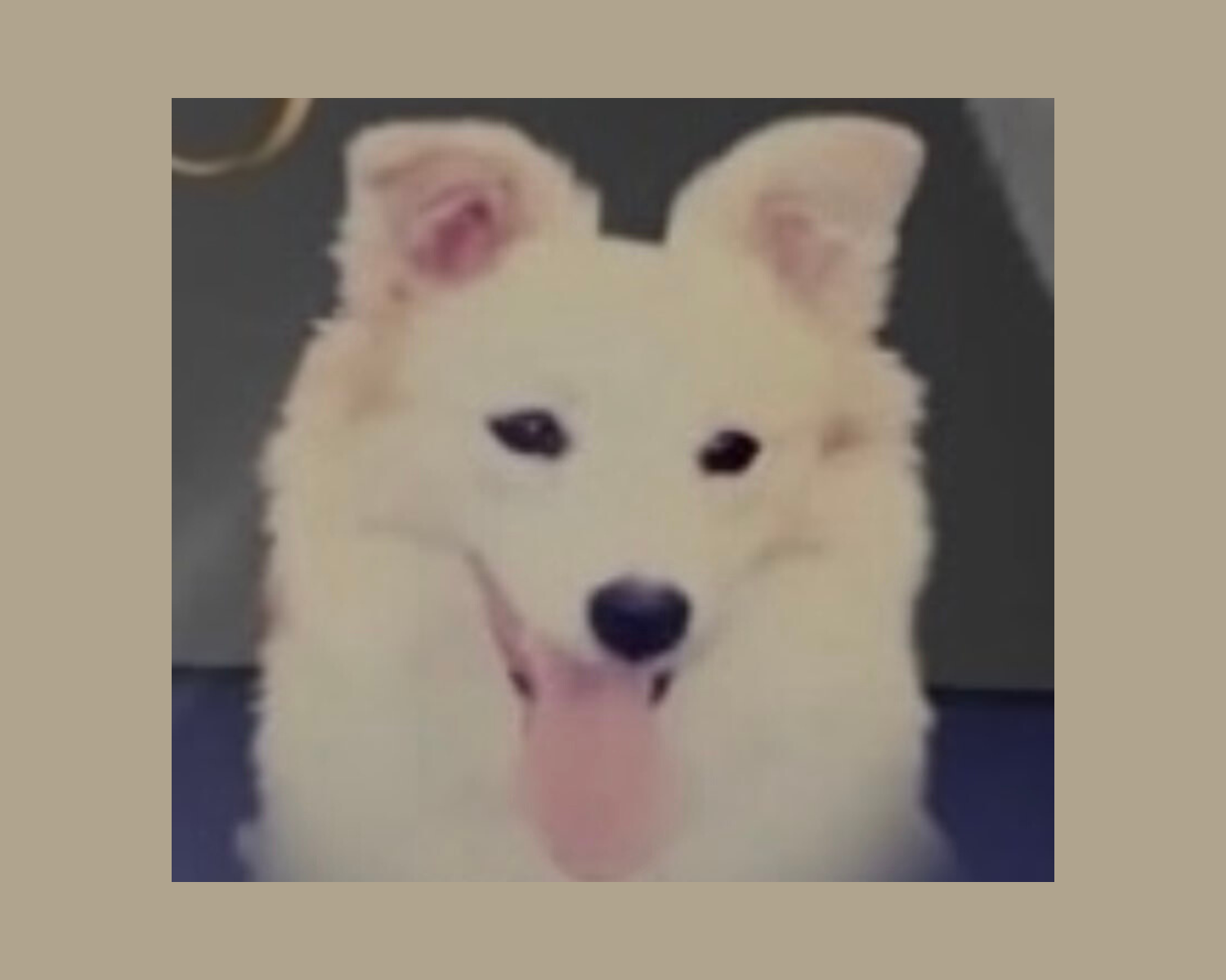 Chloe